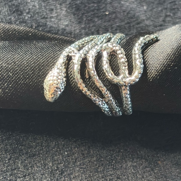 Unisex Silver Alloy Snake Ring - Boho Gothic Punk Love - Lunar New Year Sz 7 - Picture 10 of 12